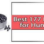 Best 177 Pellets