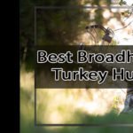 Best Broadhead for Turkey Hunting
