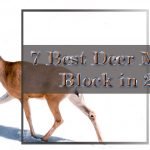 best deer mineral block