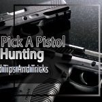 Pistol For Hunting