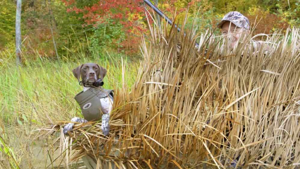 Concealment for geese hunting