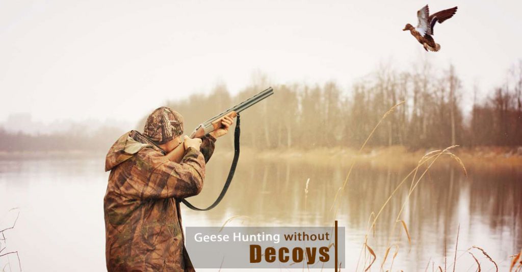 How to Hunt Geese Without Decoys