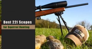 Best Scope for 22LR Squirrel Hunting