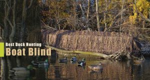 Best Boat Blind for Duck Hunting