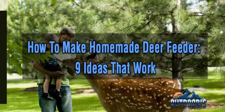 How To Make Homemade Deer Feeder: 9 Ideas That Work