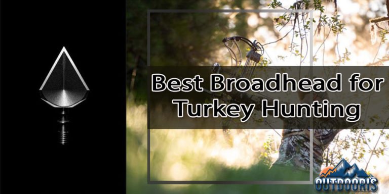 Top 8 Best Broadhead for Turkey Hunting