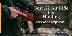 best 22 air rifle for hunting