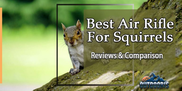 7 Best Air Rifle For Squirrels and Rabbits in 2021: Reviews of .177, .22 Pellet Guns