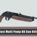 Best Multi Pump BB Gun Rifle