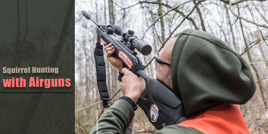 Tips for Squirrel Hunting with Airguns